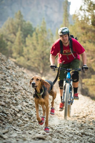 GRIP TREX Set of four boots